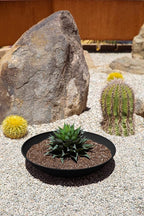 Veradek Mason Series Lane Bowl Planter| for Indoor or Outdoor Tabletops/Gardens |Made from Plastic-Stone Composite with Drainage Holes|Modern Décor for Flowers, Succulents, Small Plants