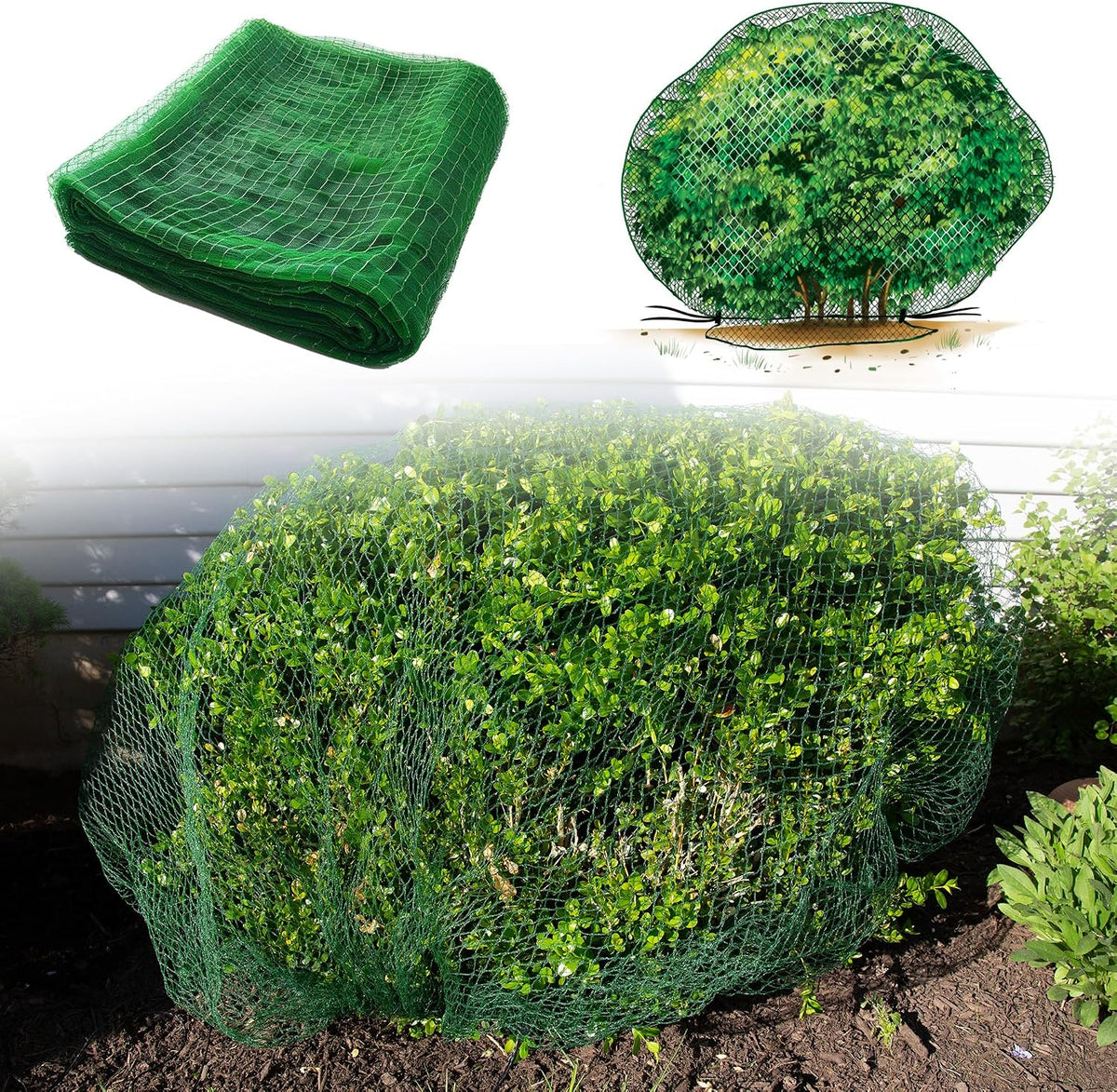 arborvitae netting wrap – deer protection for trees on a desk or shelf