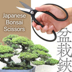 YAMASAN KYOTO UJI Japanese Suiryu Bonsai Scissors Pruning Shears 7.87inch" | Traditional Japanese l Hasami Carbon Steel Garden Tools, Made in Japan