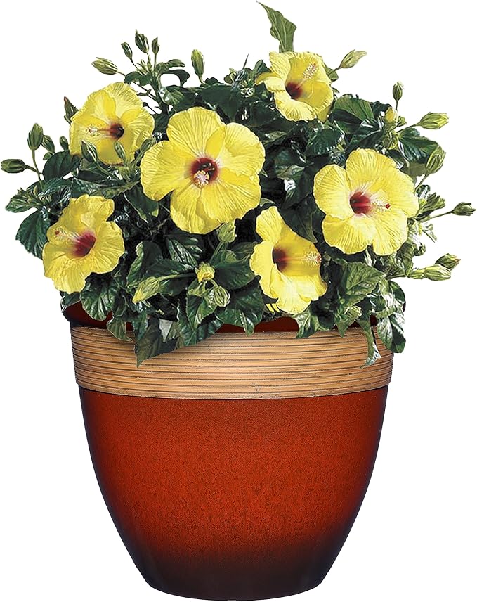 Classic Home and Garden Premiere Collection Planter, Abigail 15", Lava Red