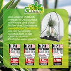 bio green icedome winter tent for plants, 3-layer on a desk or shelf