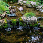 Aquascape Jazz Frog Spitter Fountain for Pond and Garden, 78374