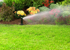 Orbit Watermaster 55461 Voyager 4-Inch Adjustable Pop-Up Gear Drive Sprinkler Head, Black, 2 Count (Pack of 2)