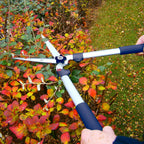 Spear & Jackson 8150RS Razorsharp Trimming and Shaping Shears