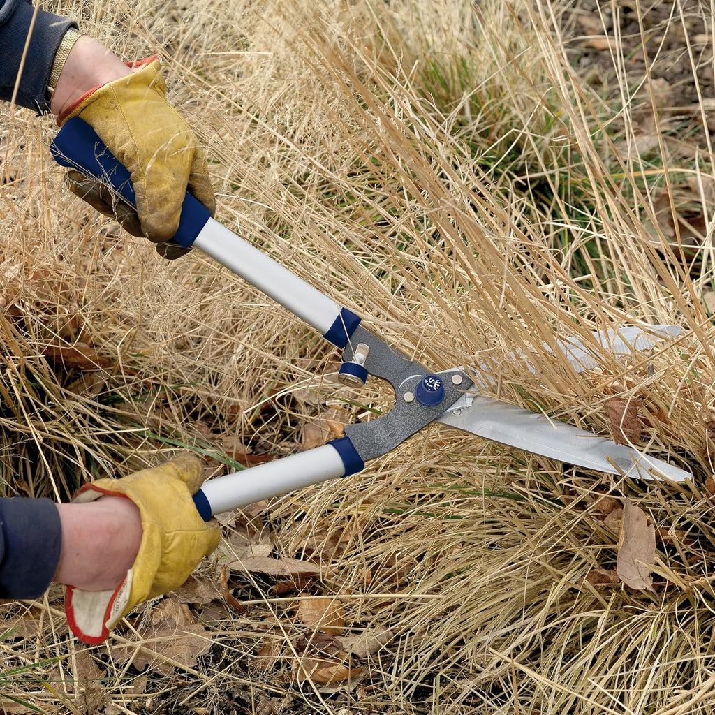 Spear & Jackson Razorsharp Notched Hedge Shears, Professional Garden Tool for Precision Trimming and Shaping, Quality Carbon Steel Blades