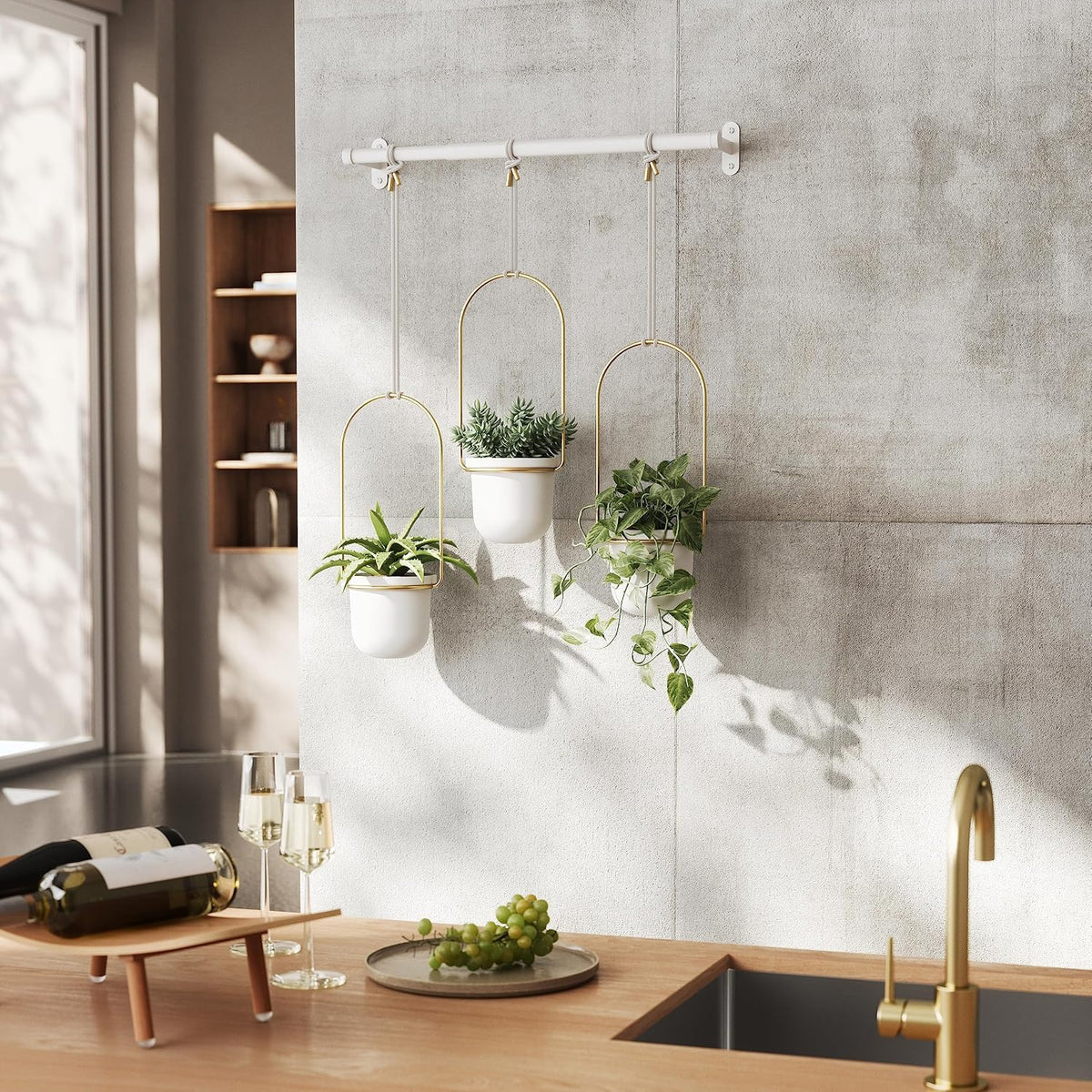 umbra triflora hanging planter, indoor herb garden, set, view 16